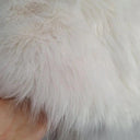Unreal Fur Cream Faux Fur Cropped Cape Size OSFA by SwapUp-Online Second Hand Store-Online Thrift Store