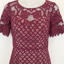Second-Hand - Review Plum Tailored Lace Midi Dress Size 6 - SwapUp