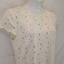 Basque Elegant Sheer Midi Dress Size 14 by SwapUp-Online Second Hand Store-Online Thrift Store