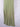 Country Road Sage Green Elegant Slip Dress Size 12 by SwapUp-Online Second Hand Store-Online Thrift Store