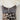 Marc Cain Vintage Giraffe Swing Mini Dress Size L by SwapUp-Online Second Hand Store-Online Thrift Store