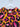 Proud Poppy Oversized Cheetah Shirt Size 10 by SwapUp-Online Second Hand Store-Online Thrift Store