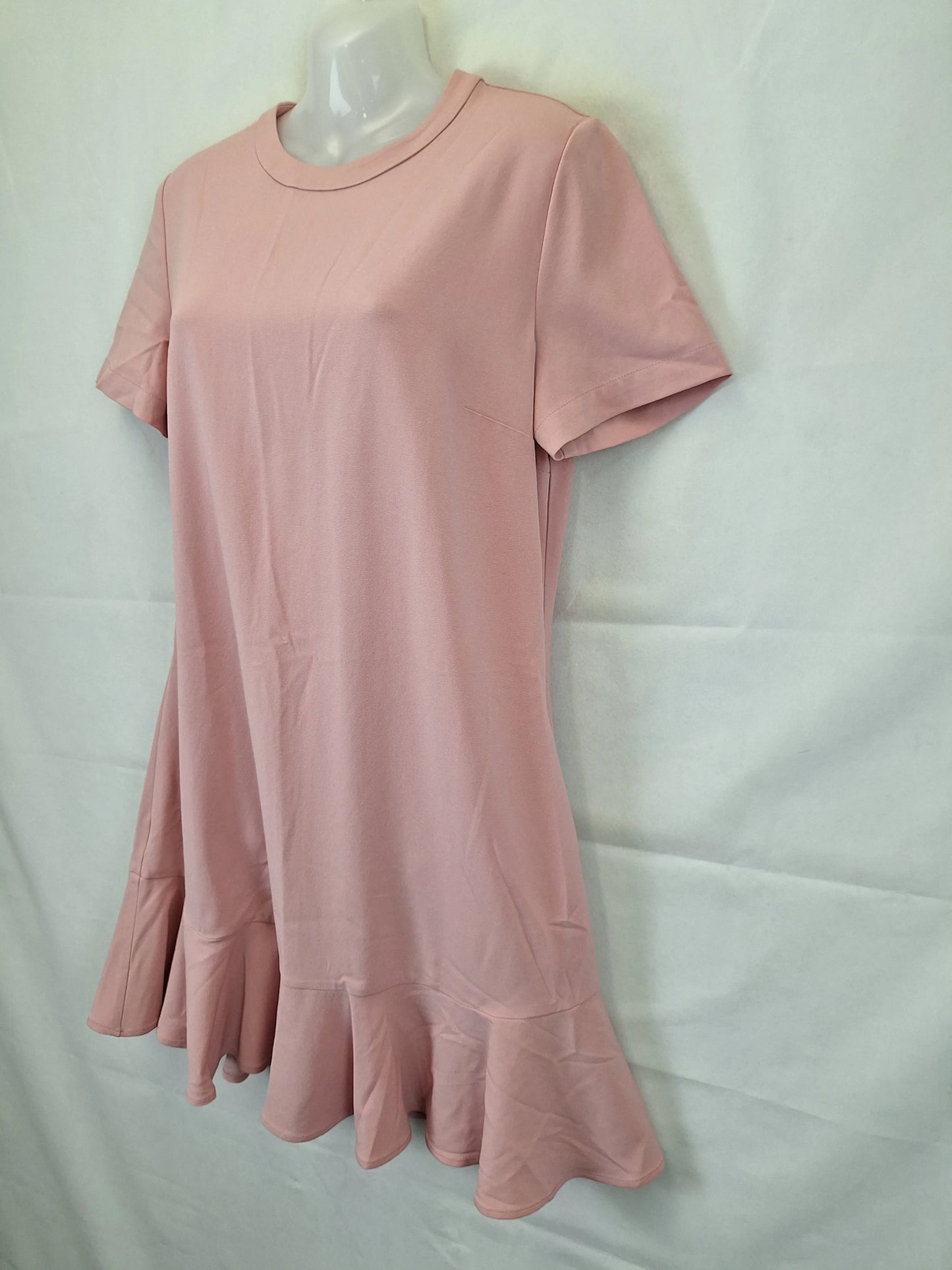 Saba Blush Frilled Mini Dress Size 10 by SwapUp-Online Second Hand Store-Online Thrift Store