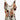 Saba Classy V Neck Camisole Top Size 10 by SwapUp-Online Second Hand Store-Online Thrift Store