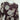Witchery Chocolate Sheer Gathered Floral Midi Dress Size 14 by SwapUp-Online Second Hand Store-Online Thrift Store