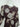 Witchery Chocolate Sheer Gathered Floral Midi Dress Size 14 by SwapUp-Online Second Hand Store-Online Thrift Store