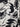 Yarra Trail Wilderness Print Shirt Size 12 by SwapUp-Online Second Hand Store-Online Thrift Store