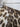 Zimmermann Honour Leopard Mini Skirt Size 12 by SwapUp-Online Second Hand Store-Online Thrift Store
